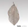 Taura - La Vigilia
